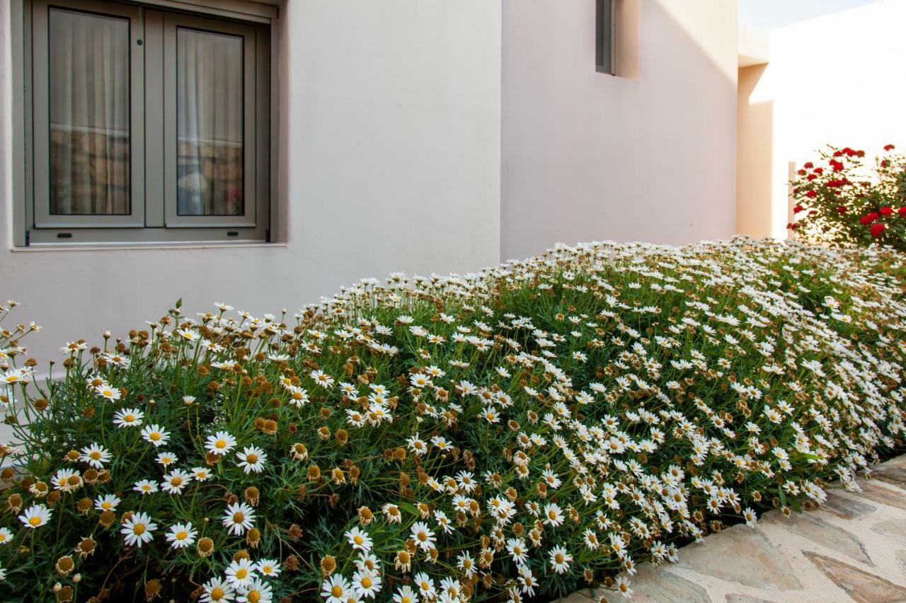 Mythos Suites Diskos Λέντας Εξωτερικό φωτογραφία